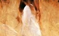 大脚马皇后分集剧情